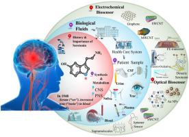 Recent advances of electrochemical and optical point-of-care biosensors for detecting neurotransmitter serotonin biomarkers