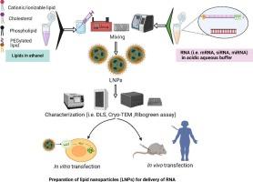 Comprehensive analysis of lipid nanoparticle formulation and preparation for RNA delivery