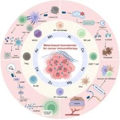 Immunomodulatory metal-based biomaterials for cancer immunotherapy