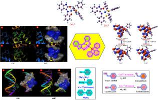 Evaluation of Co(II) Schiff base complexes: Catalysis, theoretical and biomolecular interaction studies