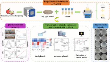 Extraction of apple pomace polyphenols using natural deep eutectic solvents: A sustainable approach