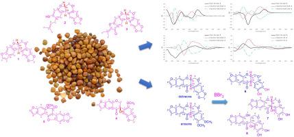 12-Nor-rotenoids and other cytotoxic constituents of Pachyrhizus erosus seeds