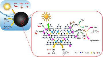 Silver and g-C3N4 co-modified biochar (Ag-CN@BC) for enhancing photocatalytic/PDS degradation of BPA: Role of carrier and photoelectric mechanism