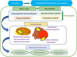 Characterization of the molecular, cellular, and behavioral changes caused by exposure to a saline-alkali environment in the Chinese mitten crab, Eriocheir sinensis