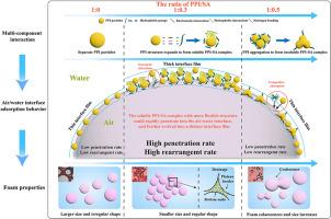 Mechanism of sodium alginate synergistically improving foaming properties of pea protein isolate: Air/water interface microstructure and rheological properties