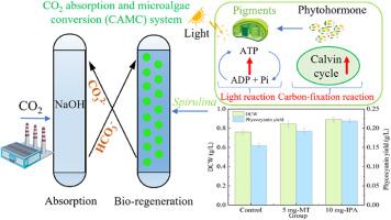 Effect of phytohormones on the carbon sequestration performance of CO2 absorption-microalgae conversion system under low light restriction