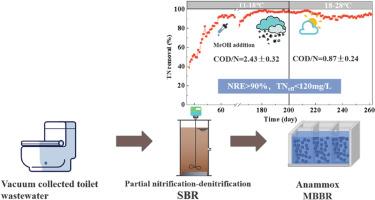 Two-stage partial nitrification-denitrification and anammox process for nitrogen removal in vacuum collected toilet wastewater at ambient temperature