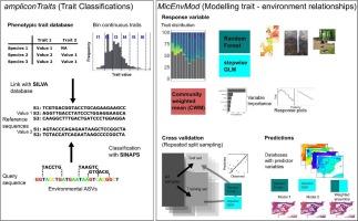 Modelling soil prokaryotic traits across environments with the trait sequence database ampliconTraits and the R package MicEnvMod