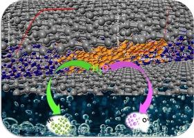 Fabrication of nickel oxide decorated CNTs/GO nanohybrid: A multifunctional electrocatalyst for overall electrochemical water splitting