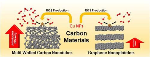 Enhanced antimicrobial activity of Cu-decorated graphene nanoplatelets and carbon nanotubes