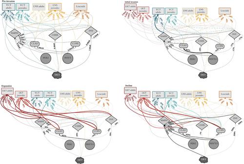 An Invasive Predator Substantially Alters Energy Flux Without Changing Food Web Functional State or Stability