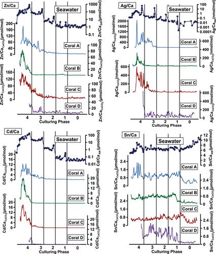 Incorporation of Dissolved Heavy Metals Into the Skeleton of Porites Corals Based on Multi-Element Culturing Experiments