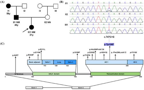 A novel nonsense mutation c.747C>G in the NEUROD1 gene detected within a Chinese family affected by maturity-onset diabetes of the young type 6