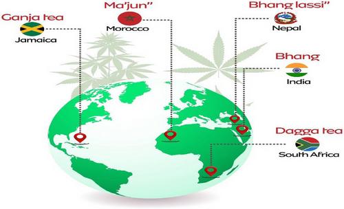 Cannabis-infused foods: Phytonutrients, health, and safe product innovations