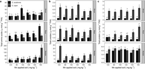 Metabolic Responses to Excess Manganese in Legumes: Variations in Nitrogen Compounds in Canavalia ensiformis (L.) DC and Cajanus cajan (L.) Millsp