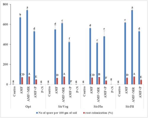 Combined inoculation of arbuscular mycorrhiza fungi with Meso-rhizobium improves nutrient uptake, growth performance, and moisture stress tolerance of chickpea (Cicer arietinum L.)