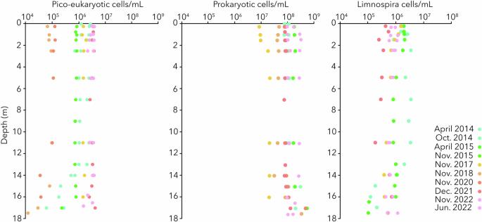 Seismic events as potential drivers of the microbial community structure and evolution in a paleo-ocean analog