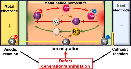 Beyond Ion Migration in Metal Halide Perovskites: Toward a Broader Photoelectrochemistry Perspective
