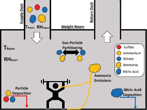 Modeling Indoor Inorganic Aerosol Concentrations During the ATHLETIC Campaign with IMAGES