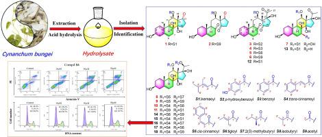 Cynbungenins A-K, structurally diverse steroids with cytotoxic activity from the roots of Cynanchum bungei Decne