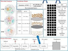 Microbial community dynamics in different floc size aggregates during nitrogen removal process upgrading in a full-scale landfill leachate treatment plant