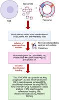 A comprehensive review on recent advances in exosome isolation and characterization: Toward clinical applications