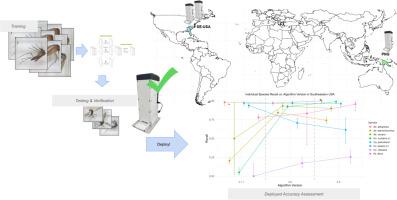 Mosquito species identification accuracy of early deployed algorithms in IDX, A vector identification tool