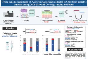 Whole-genome sequencing of Neisseria meningitidis collected in Chile from pediatric patients during 2016–2019 and coverage vaccine prediction