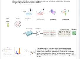 Characterization of isoniazid resistance and genetic mutations in isoniazid-resistant and rifampicin-susceptible Mycobacterium tuberculosis in China