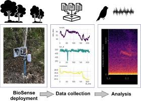 BioSense: An automated sensing node for organismal and environmental biology