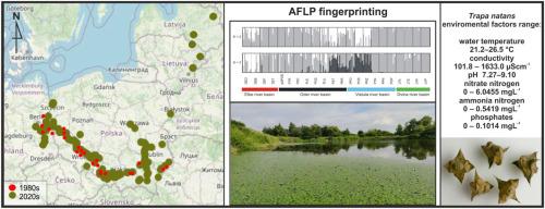 A wide range of abiotic habitat factors and genetic diversity facilitate expansion of Trapa natans within its native range