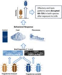 Sex-linked differences in semiochemical-mediated movement by Trogoderma variabile Ballion and Trogoderma inclusum LeConte (Coleoptera: Dermestidae) after exposure to long-lasting insecticide-incorporated netting