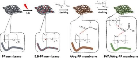 Electron beam induced graft polymerized anti oil-fouling biaxial polypropylene membrane with harsh environment tolerance