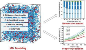 Understanding the structure-property relationship of anhydride-cured epoxidized vegetable oils: Modeling and molecular dynamics simulation