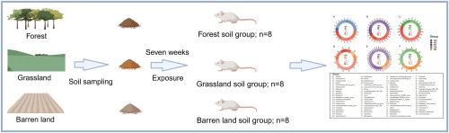 Exposure to greenspaces sourced soils improves mice gut microbiota