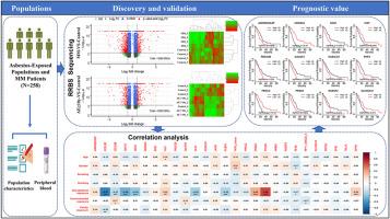 Integrated DNA methylation analysis of peripheral blood from asbestos exposed populations and patients with malignant mesothelioma reveals novel methylation driver genes of diagnostic and prognostic relevance