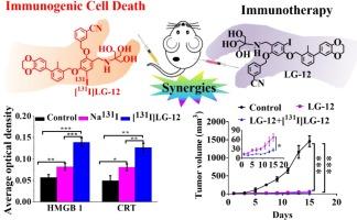 Synthesis and immunotherapy efficacy of a PD-L1 small-molecule inhibitor combined with its 131I-iodide labelled isostructural compound