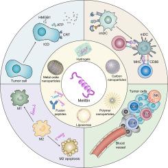 Melittin-incorporated nanomedicines for enhanced cancer immunotherapy