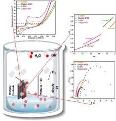 Development of carbon dots supported on Zr-MOFs nano-composites for effective oxygen evolution reaction