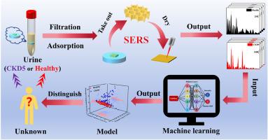 “Partner” cellulose gel with “dialysis” function: Achieve the integration of filtration-enrichment-SERS detection