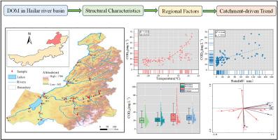 Catchment-driven trend of dissolved organic matter characteristics in the Hailar River, China