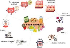 Impacts of food additives on gut microbiota and host health