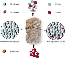 Mechanical and acoustic characterization of carbon dioxide gas replacement of methane gas hydrate