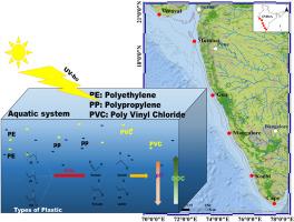 Natural light driven plastic leaching effects on carbon chemistry in the tropical coastal waters of eastern Arabian sea: An experimental study