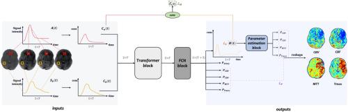 CT perfusion parameter estimation in stroke using neural network with transformer and physical model priors