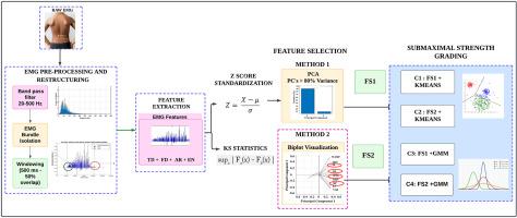 Principal component analysis biplot visualization of electromyogram features for submaximal muscle strength grading