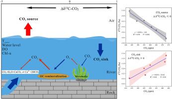 Metabolic processes drive spatio-temporal variations of carbon sink/source in a karst river