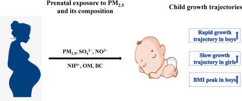 Prenatal exposure to PM2.5 and its composition on child growth trajectories in the first two years: A prospective birth cohort study