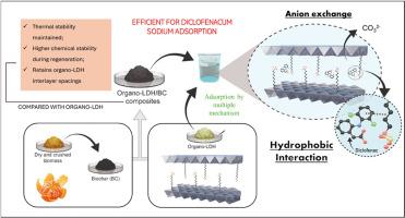 Composite of Organo-LDH and biochar for diclofenac sodium removal from aqueous solutions