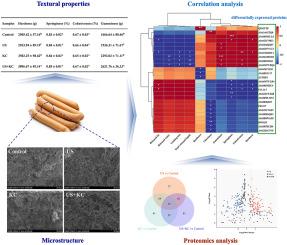 Quantitative proteomics provides new insights into the mechanism underlying textural property improvement in frankfurters by ultrasound treatment combined with κ-carrageenan